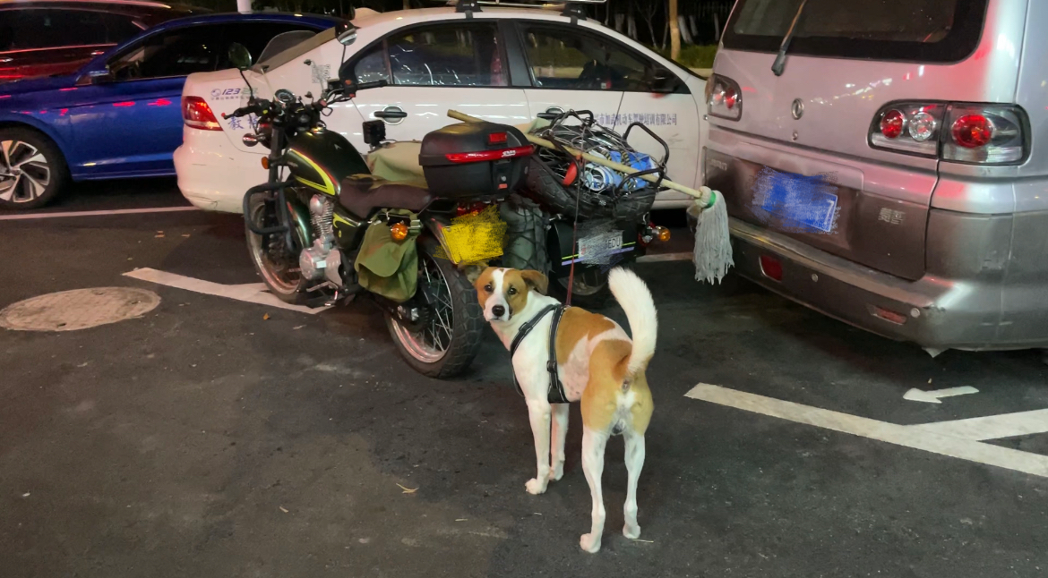 微信图片_20231026173435.png