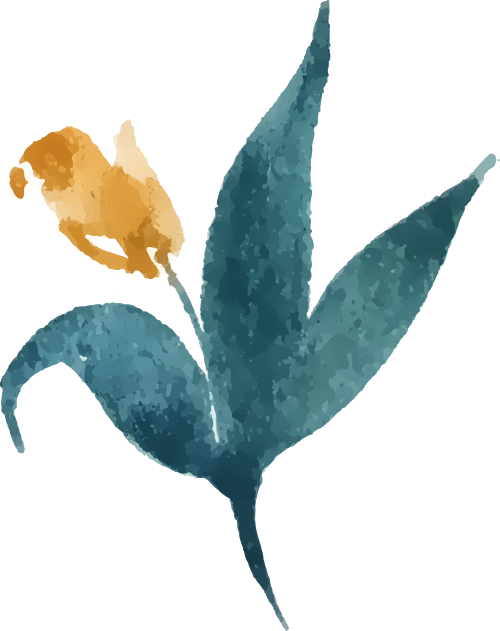https://statics.xiumi.us/mat/i/fvId/54533c1d3e6231e06431acce7f9bd2d3_sz-117766.png