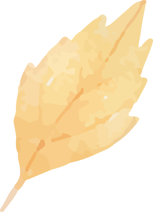 https://statics.xiumi.us/mat/i/fvId/fe5996e59be170f86ac2591688ef458e_sz-60498.png