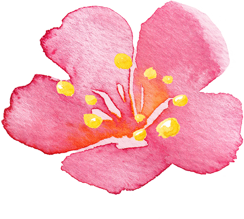 https://statics.xiumi.us/mat/i/fvId/cc7731f9346b1a5508cc07254ebab548_sz-387330.png